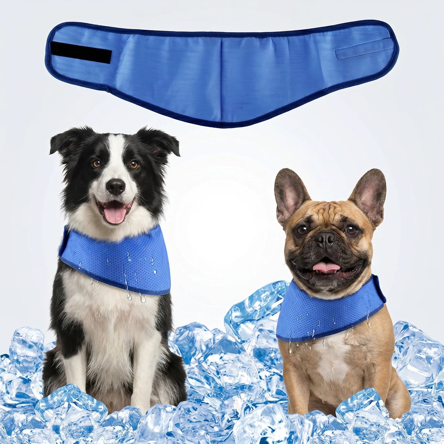 cooly - dog cooling bandana